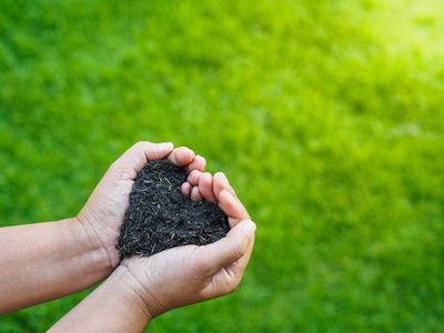 女子手捧土绿草模糊背景照片