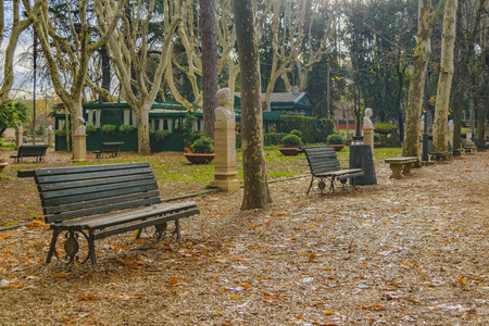 意大利罗马城波赛公园冬季场景