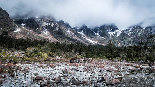 Yumthang 山谷, 一个受欢迎的旅游胜地和自然营区在东喜马拉雅, 锡金, 印度