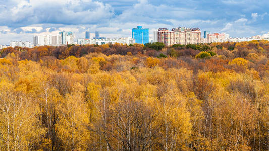 从莫斯科城市 Timiryazevskiy 公园和居住区看秋季