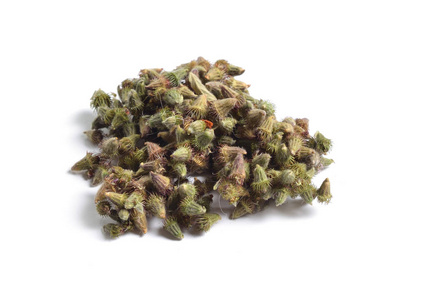 仙鹤 eupatoria,仙鹤,教堂尖顶或 sticklewort 的种子仙鹤草铃木春信.