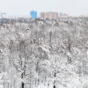 莫斯科城市 Timiryazevskiy 公园与居住区的景观观