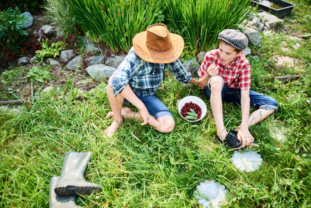 两兄弟坐在草地上吃樱桃在村里图片