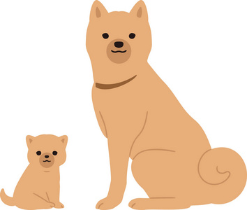 母狗和狗小狗和母狗照片