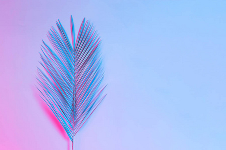 热带和棕榈叶在充满活力的大胆梯度全息颜色.概念艺术.