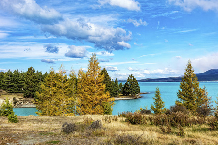 新西兰南岛秋季 Pukaki 唯一湖