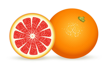 新鲜柚子的写实风格。在白色背景上隔离的矢量插图