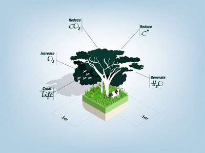 插图信息平面设计中的平方米区树的效益概念