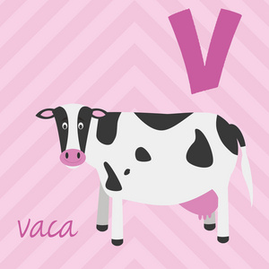 西班牙字母: v 为 vaca.学会阅读.孤立向量插图照片