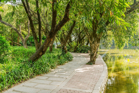 在城市公园的池塘狭窄的道路。深圳。中国