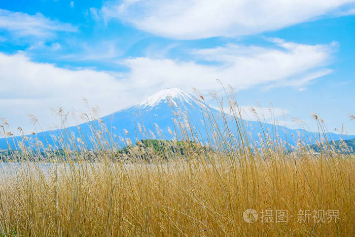 河口北海岸山梨湖 Oishi 公园的富士山景观