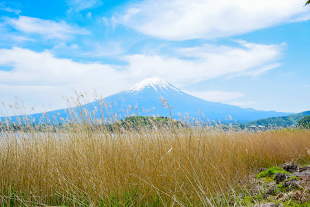 河口北海岸山梨湖 Oishi 公园的富士山景观