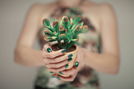 女子手捧多汁植物, 配以完美的绿色指甲油, 可作背景