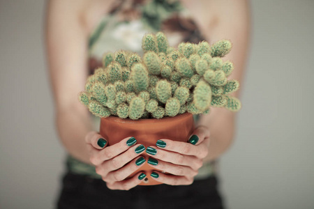 手持仙人掌的女子手, 用完美的绿色指甲油, 可作为背景