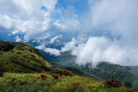 chaingmai 泰国的山景