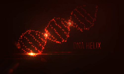 发光圆和粒子的 dna 形状