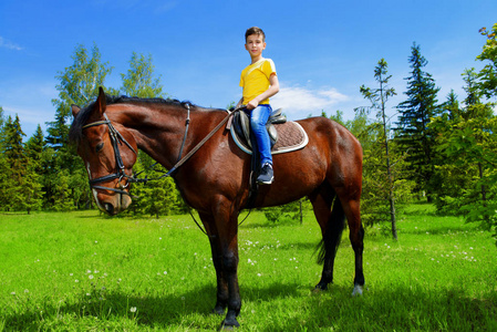 那个男孩正骑在公园里的一匹马.阳光灿烂的夏天的一天照片