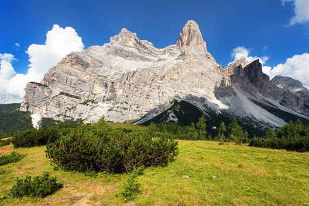 Pelmo 的看法与山松木, 南 Tirol, 白云岩山, Italien 欧洲阿尔卑斯