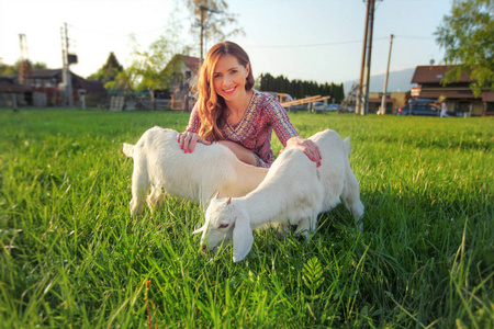 二个小山羊孩子在春天绿色草甸与模糊的年轻妇女在背景, 由下午日落光点燃