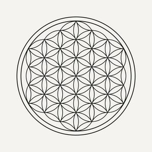 生命之花以轮廓的风格曼荼罗.禅宗插画, 瑜伽背景.eps10 矢量照片