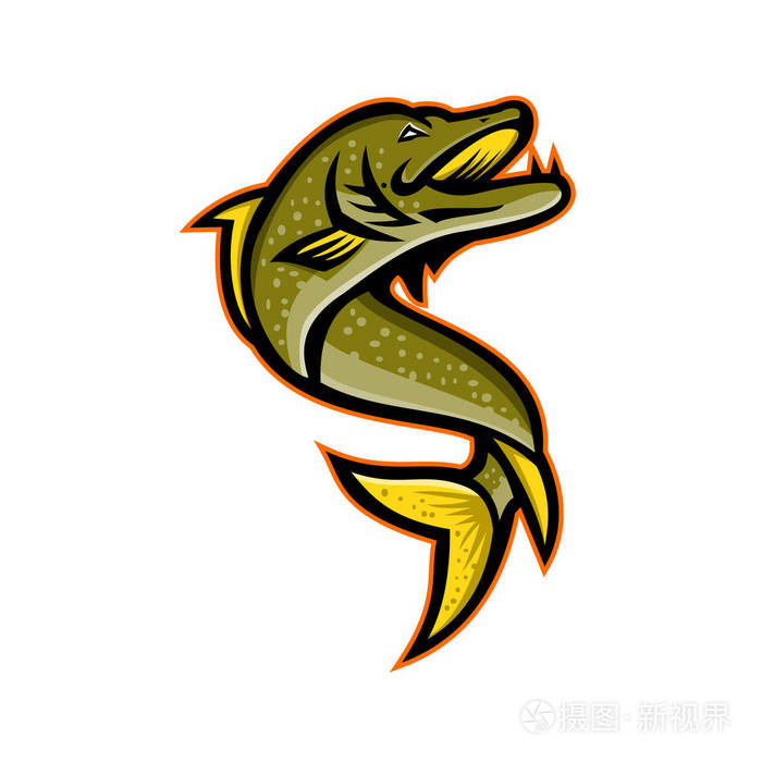 吉祥物图标北派克, 狗鱼,?muskellunge,?
