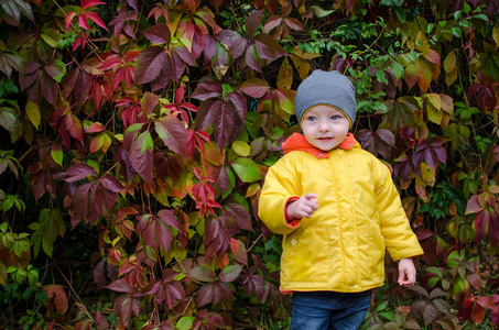 微笑的小男孩穿着黄色大衣走在美丽的秋天公园里, 在户外玩得开心。秋天森林里的孩子