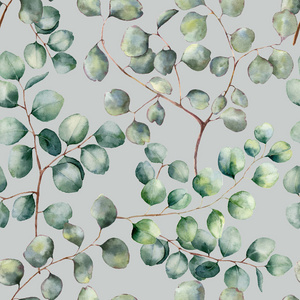 蓝桉水彩银元桉树逼真无缝图案.手绘美丽的桉树分支孤立在蓝色背景.