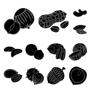 不同种类的坚果黑色图标集合中的设计。坚果食物矢量符号库存 web 插图