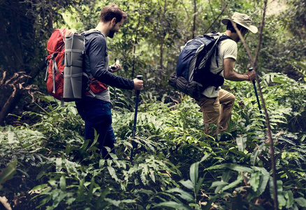 在森林里徒步旅行图片