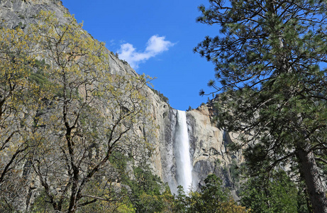 风景与 Bridalveil 秋天优胜美地国家公园, 加利福尼亚