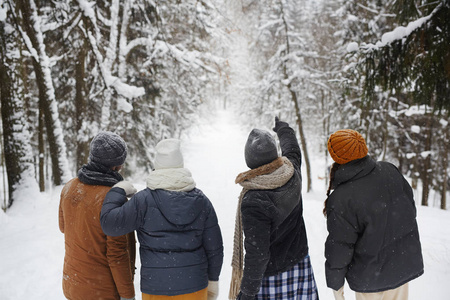 冬装四朋友在雪中漫步冬季森林中的背影