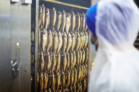 鱼厂工作服图片