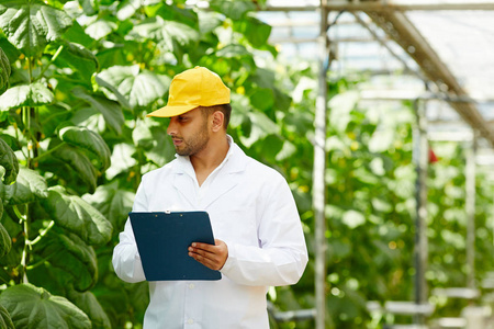 年轻人在 agroengineering 制服写下新品种黄瓜的特点