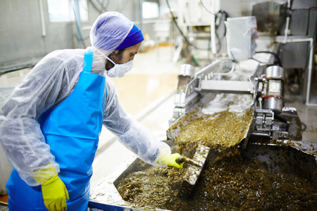 海鲜厂员工站在生产线上, 将海藻沙拉混合在巨大的容器中, 配有特殊的 handtool