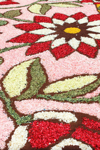 多彩多姿的花地毯，用花瓣