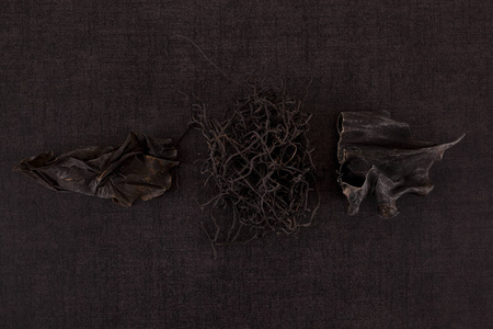 沈春阳传统的中药海藻和丹沈在黑色背景下.中医顶级观照片