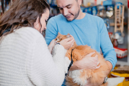 年轻夫妇与他们的波斯猫在宠物店