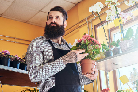专业的男性花店与胡子和纹身在他的手穿着制服在花店里捧着一束鲜花