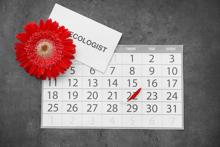 平的放置构成与日历和红色花在灰色背景。妇科护理