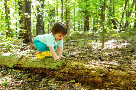 在森林里玩耍的蹒跚学步的男孩