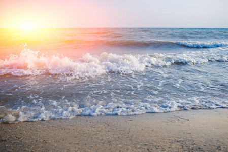 一个美丽的阳光明媚的日子, 一个狂野的海滩和鸽子的海水