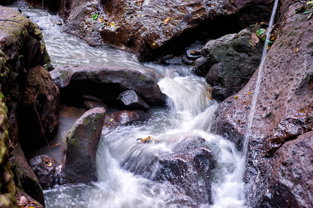 小河河。石头和岩石的特写图