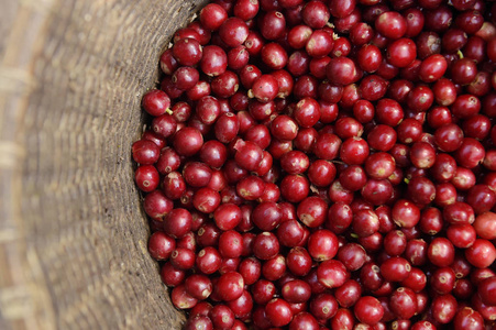 新鲜咖啡豆在篮子里照片