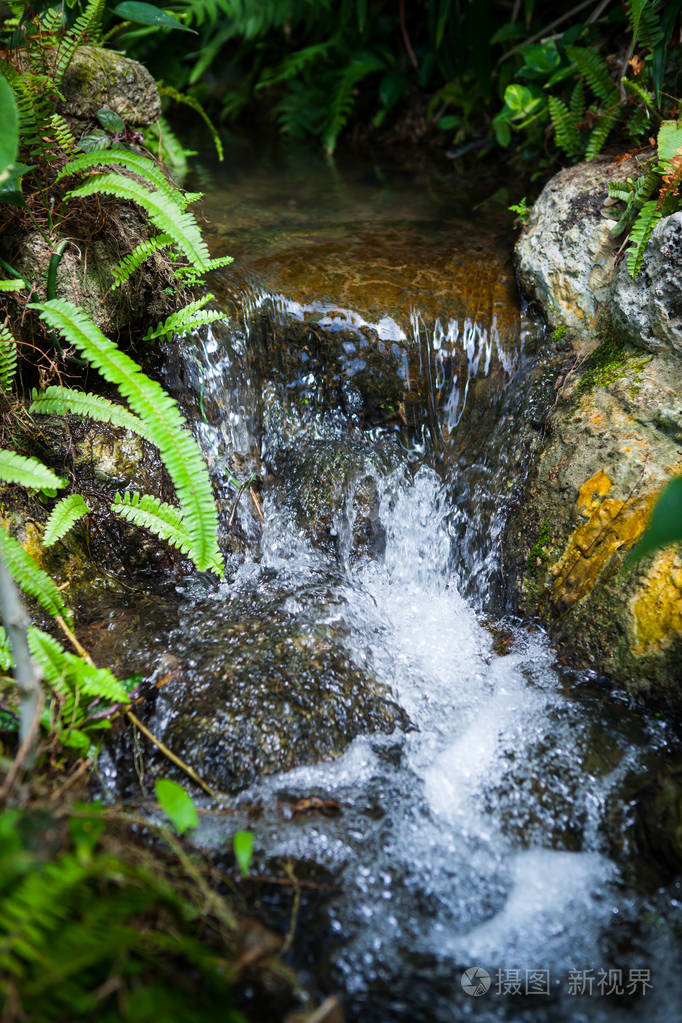 小溪, 在泰国的花园里流动