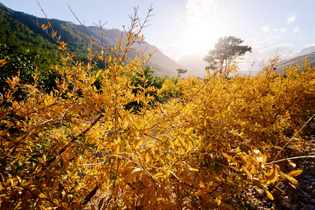 美丽的风景与石榴庭院和山