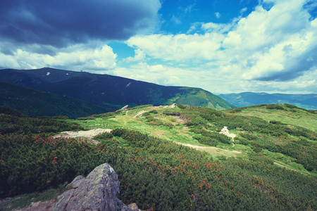 美丽的山水景观与绿色的草甸。喀尔巴阡山, 乌克兰