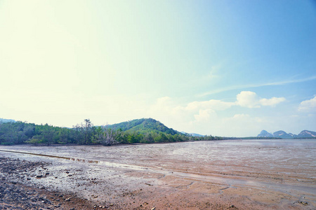 美丽海景与低潮海滩