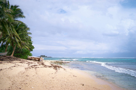 海景与美丽的热带海滩与棕榈树和蓝色海