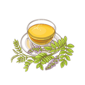 白底杯甘草茶插图插画