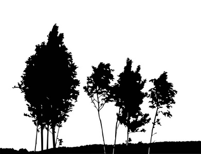 树上白色 backgorund 孤立的剪影。vecrtor 图